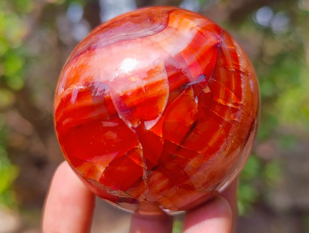 Polished Carnelian Agate Gemstone Spheres x 6 From Madagascar