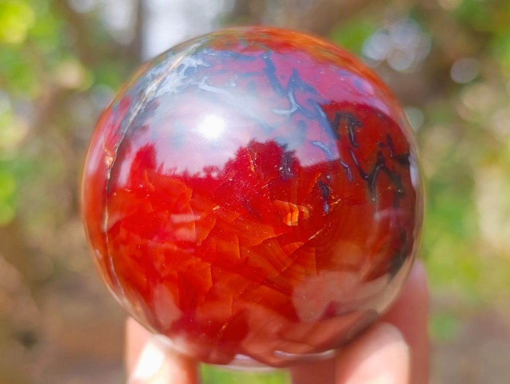 Polished Carnelian Agate Gemstone Spheres x 6 From Madagascar