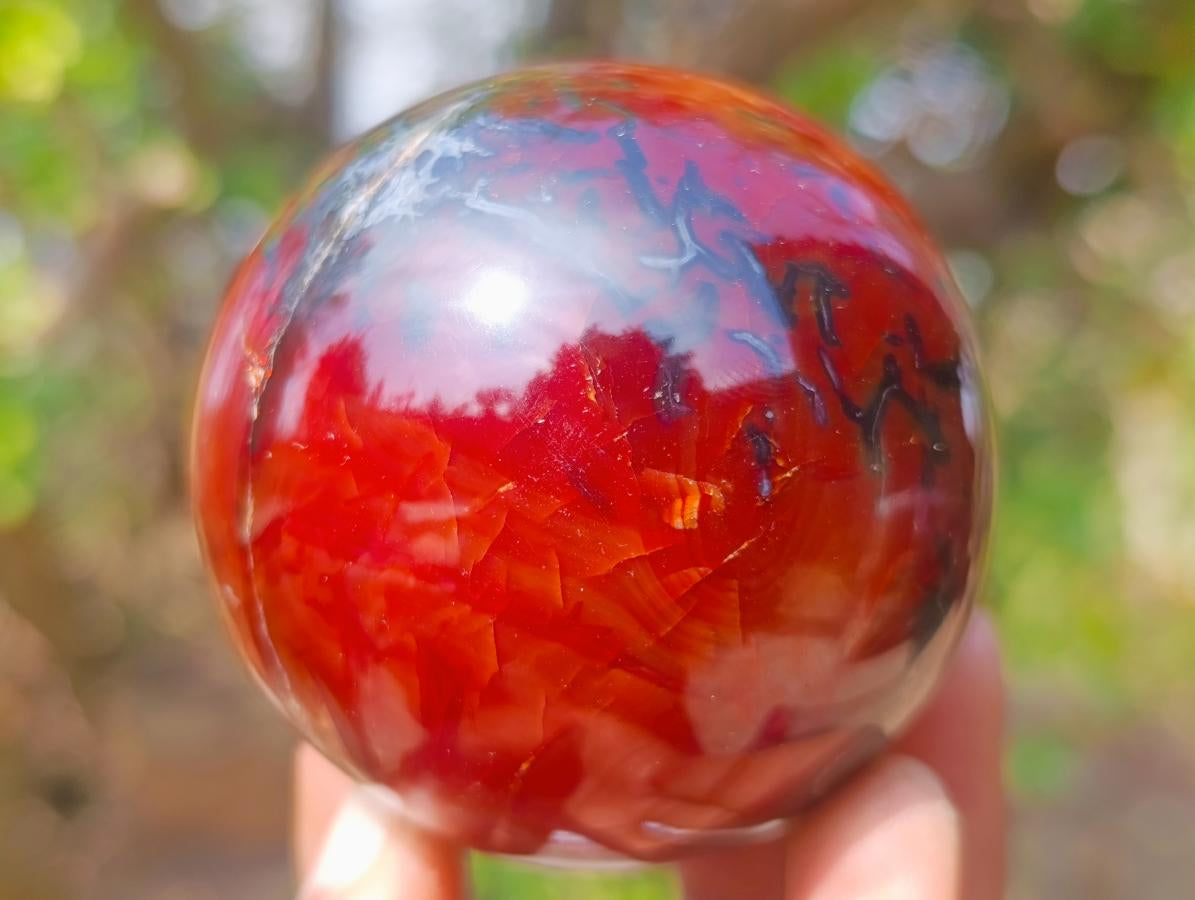 Polished Carnelian Agate Gemstone Spheres x 6 From Madagascar