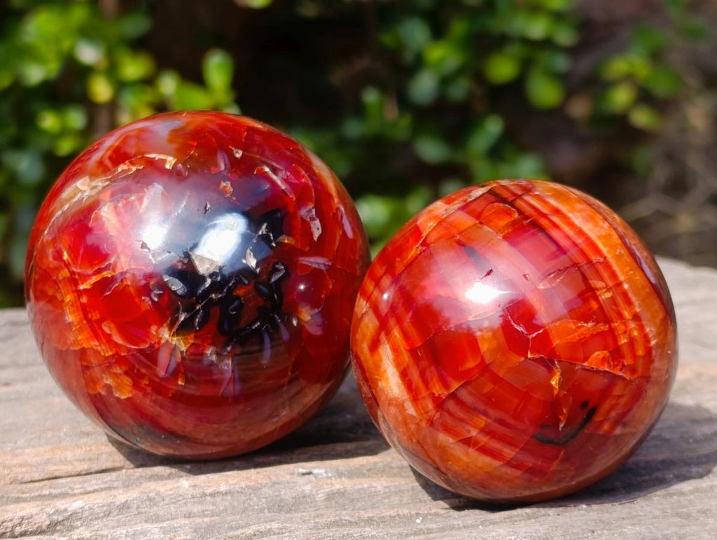 Polished Carnelian Agate Gemstone Spheres x 6 From Madagascar