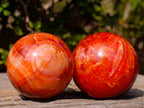 Polished Carnelian Agate Gemstone Spheres x 6 From Madagascar
