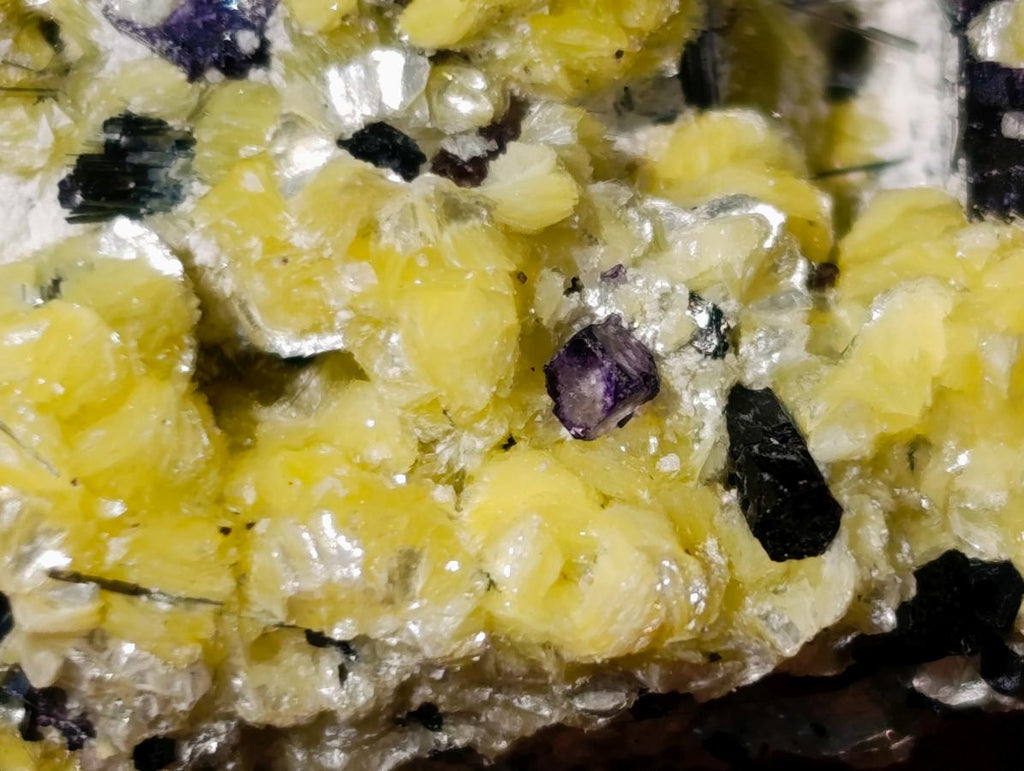 Natural Smokey and Purple Fluorite Specimens with Yellow Muscovite Mica x 15 From Erongo, Namibia