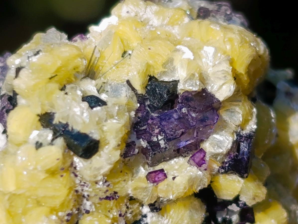 Natural Smokey and Purple Fluorite Specimens with Yellow Muscovite Mica x 15 From Erongo, Namibia