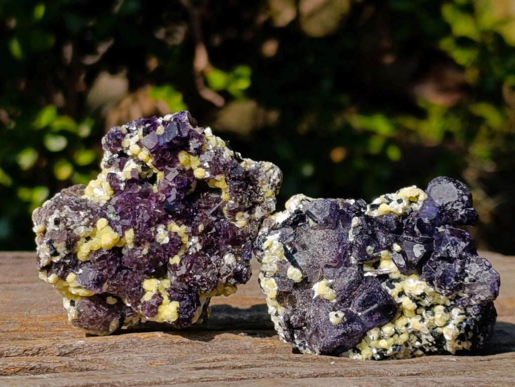 Natural Smokey and Purple Fluorite Specimens with Yellow Muscovite Mica x 15 From Erongo, Namibia