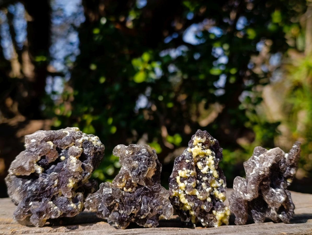 Natural Smokey and Purple Fluorite Specimens with Yellow Muscovite Mica x 15 From Erongo, Namibia