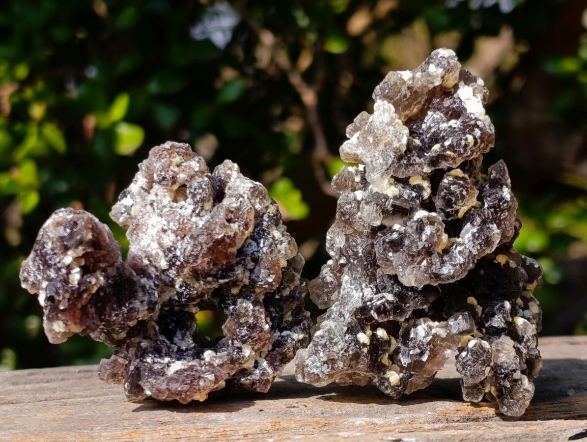Natural Smokey and Purple Fluorite Specimens with Yellow Muscovite Mica x 15 From Erongo, Namibia