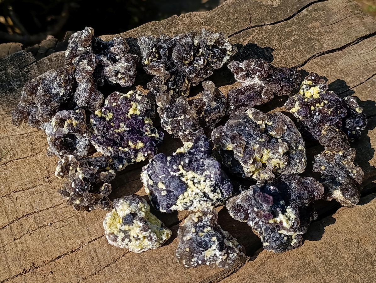 Natural Smokey and Purple Fluorite Specimens with Yellow Muscovite Mica x 15 From Erongo, Namibia
