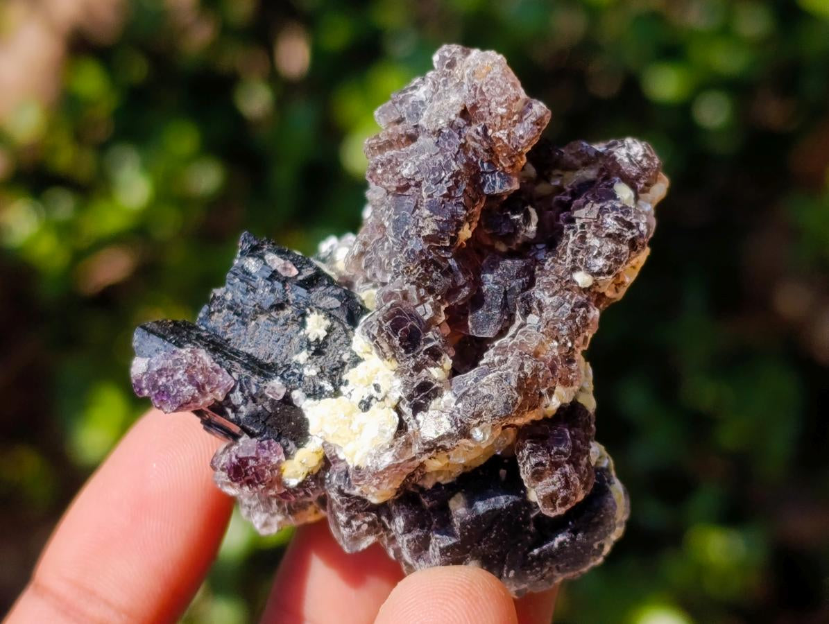 Natural Smokey and Purple Fluorite Specimens with Yellow Muscovite Mica x 15 From Erongo, Namibia
