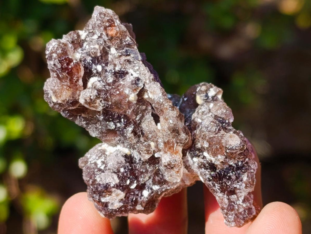 Natural Smokey and Purple Fluorite Specimens with Yellow Muscovite Mica x 15 From Erongo, Namibia