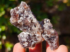 Natural Smokey and Purple Fluorite Specimens with Yellow Muscovite Mica x 15 From Erongo, Namibia