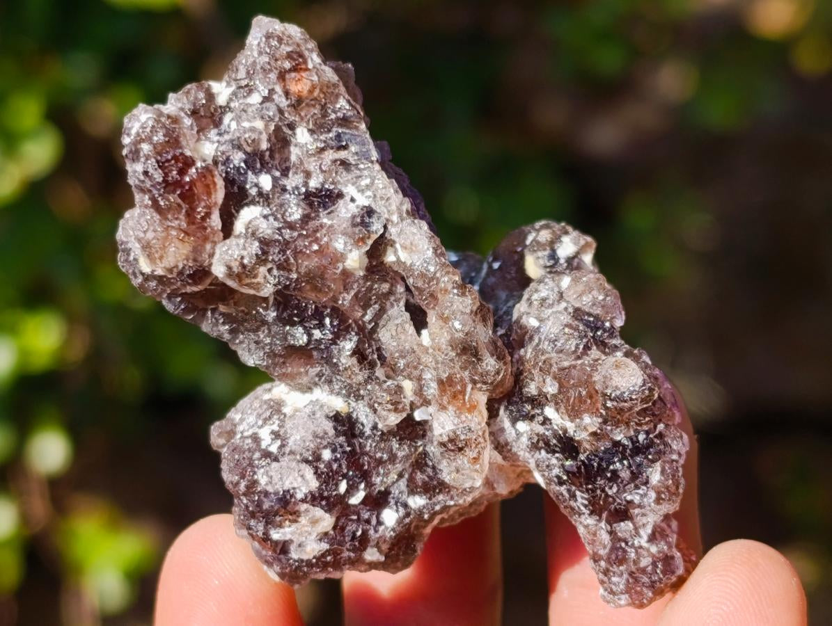 Natural Smokey and Purple Fluorite Specimens with Yellow Muscovite Mica x 15 From Erongo, Namibia