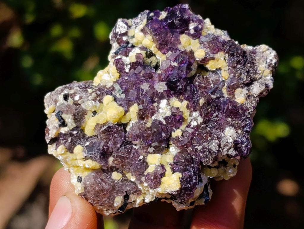 Natural Smokey and Purple Fluorite Specimens with Yellow Muscovite Mica x 15 From Erongo, Namibia