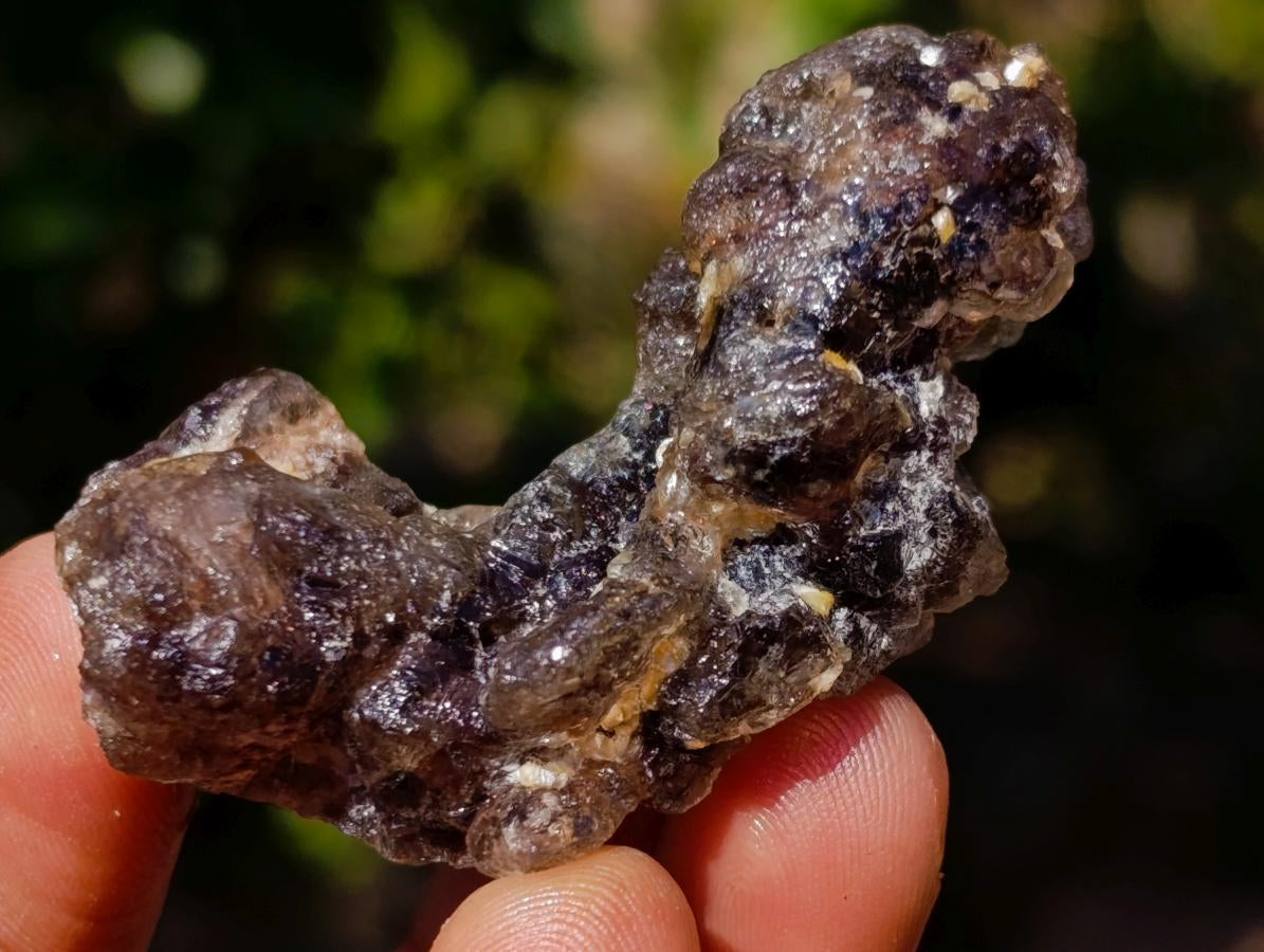 Natural Smokey and Purple Fluorite Specimens with Yellow Muscovite Mica x 15 From Erongo, Namibia