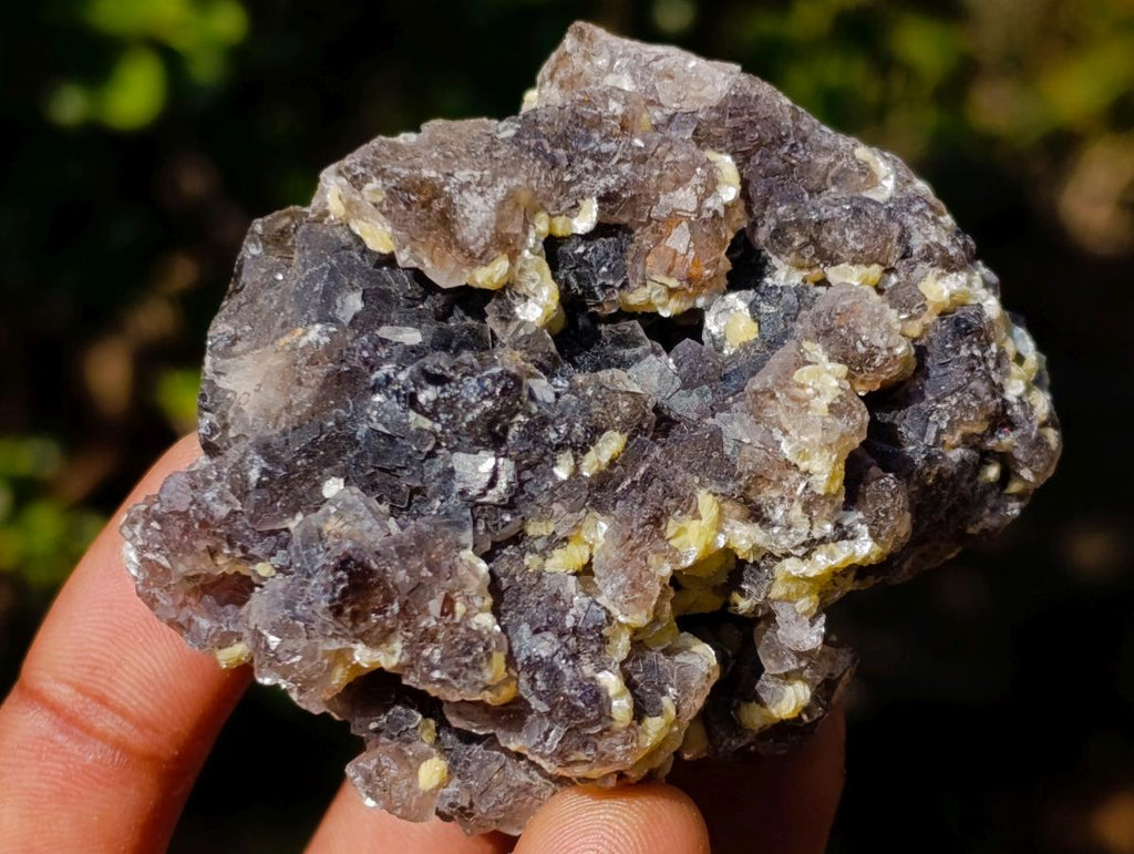 Natural Smokey and Purple Fluorite Specimens with Yellow Muscovite Mica x 15 From Erongo, Namibia