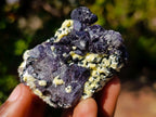 Natural Smokey and Purple Fluorite Specimens with Yellow Muscovite Mica x 15 From Erongo, Namibia