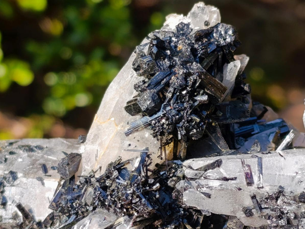 Natural Smokey Quartz Crystals with Schorl Black Tourmaline x 3 From Erongo, Namibia