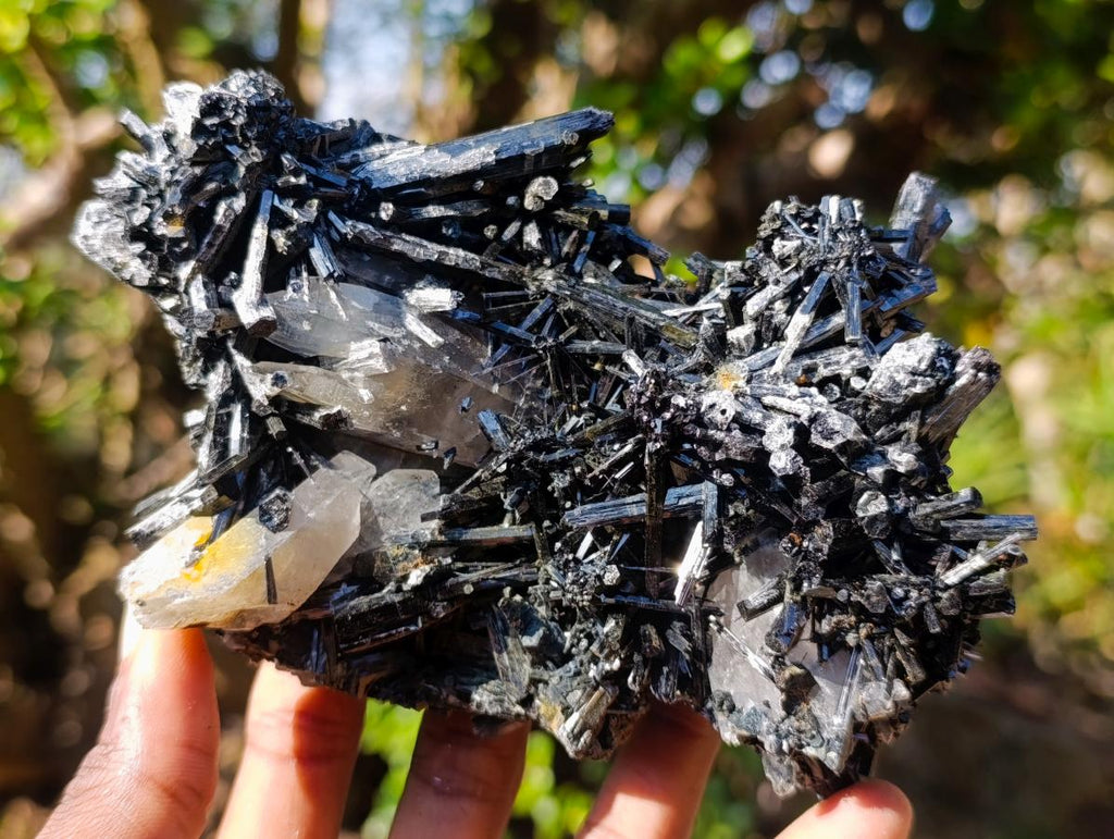 Natural Smokey Quartz Crystals with Schorl Black Tourmaline x 3 From Erongo, Namibia