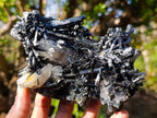 Natural Smokey Quartz Crystals with Schorl Black Tourmaline x 3 From Erongo, Namibia