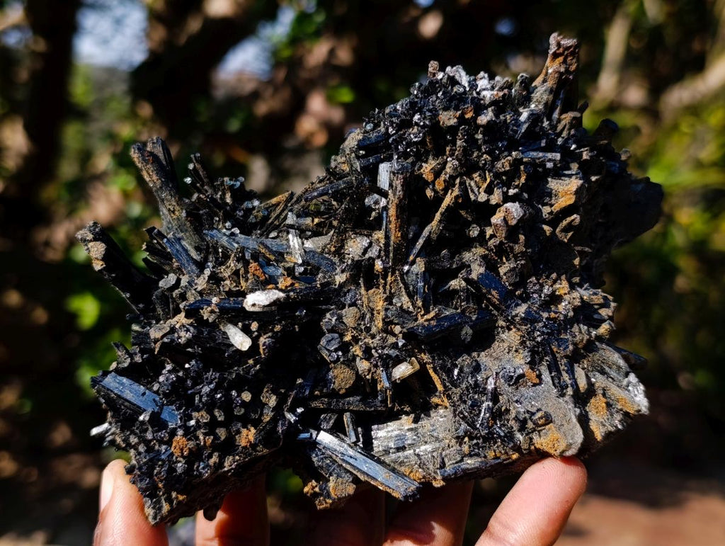 Natural Smokey Quartz Crystals with Schorl Black Tourmaline x 3 From Erongo, Namibia