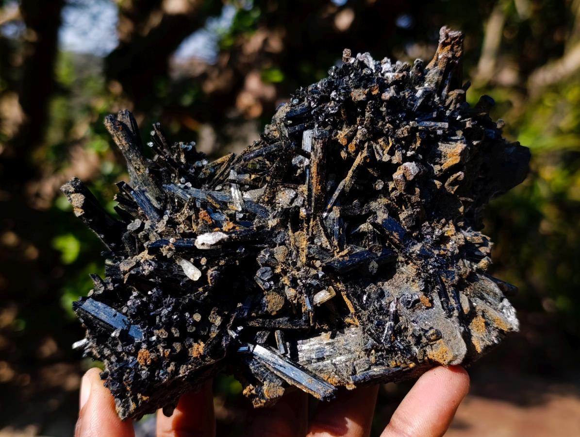 Natural Smokey Quartz Crystals with Schorl Black Tourmaline x 3 From Erongo, Namibia