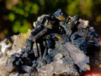 Natural Smokey Quartz Crystals with Schorl Black Tourmaline x 3 From Erongo, Namibia