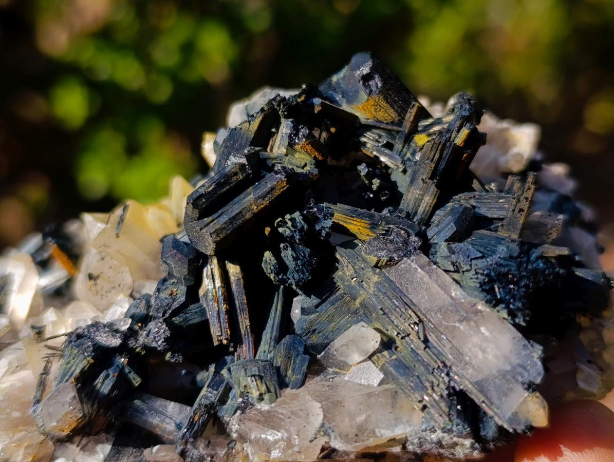 Natural Smokey Quartz Crystals with Schorl Black Tourmaline x 3 From Erongo, Namibia