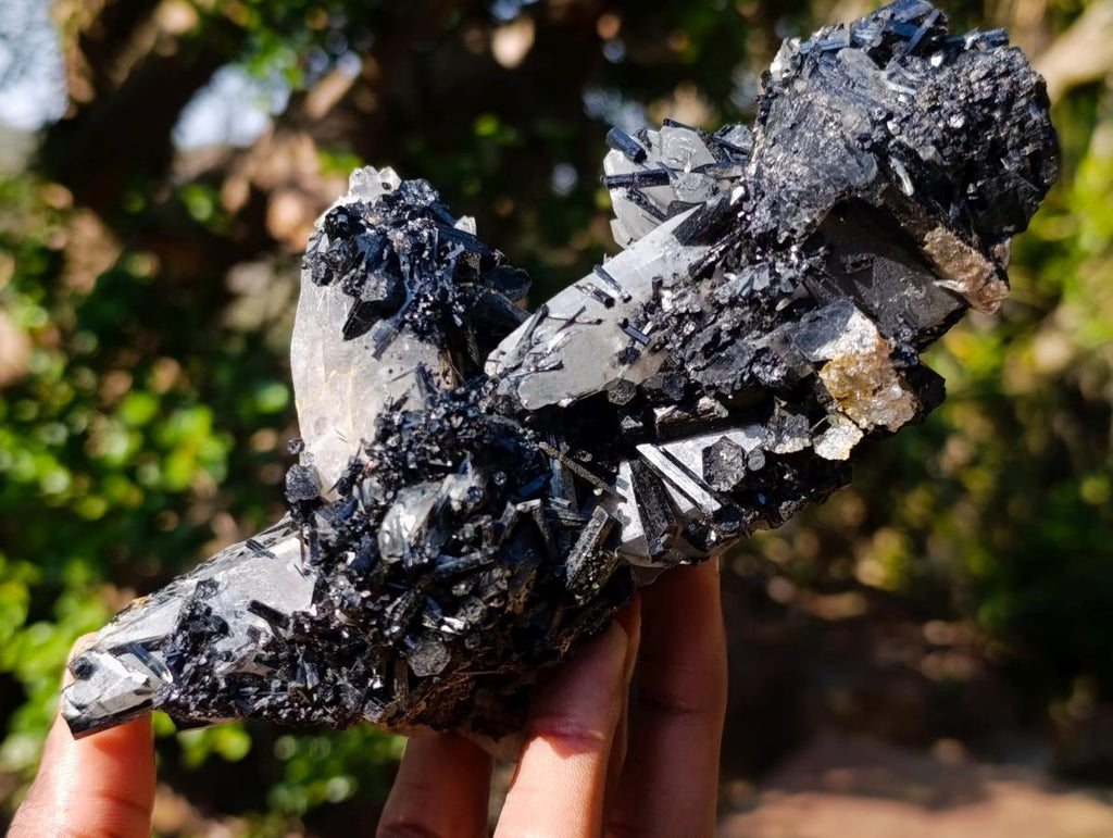 Natural Smokey Quartz Crystals with Schorl Black Tourmaline x 3 From Erongo, Namibia