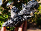 Natural Smokey Quartz Crystals with Schorl Black Tourmaline x 3 From Erongo, Namibia