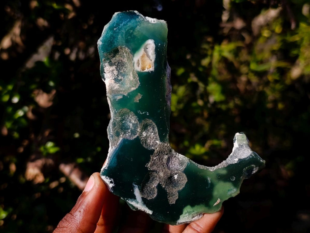 Polished One Side Mtorolite Chrysoprase Slices x 6 From Mutorashanga, Zimbabwe