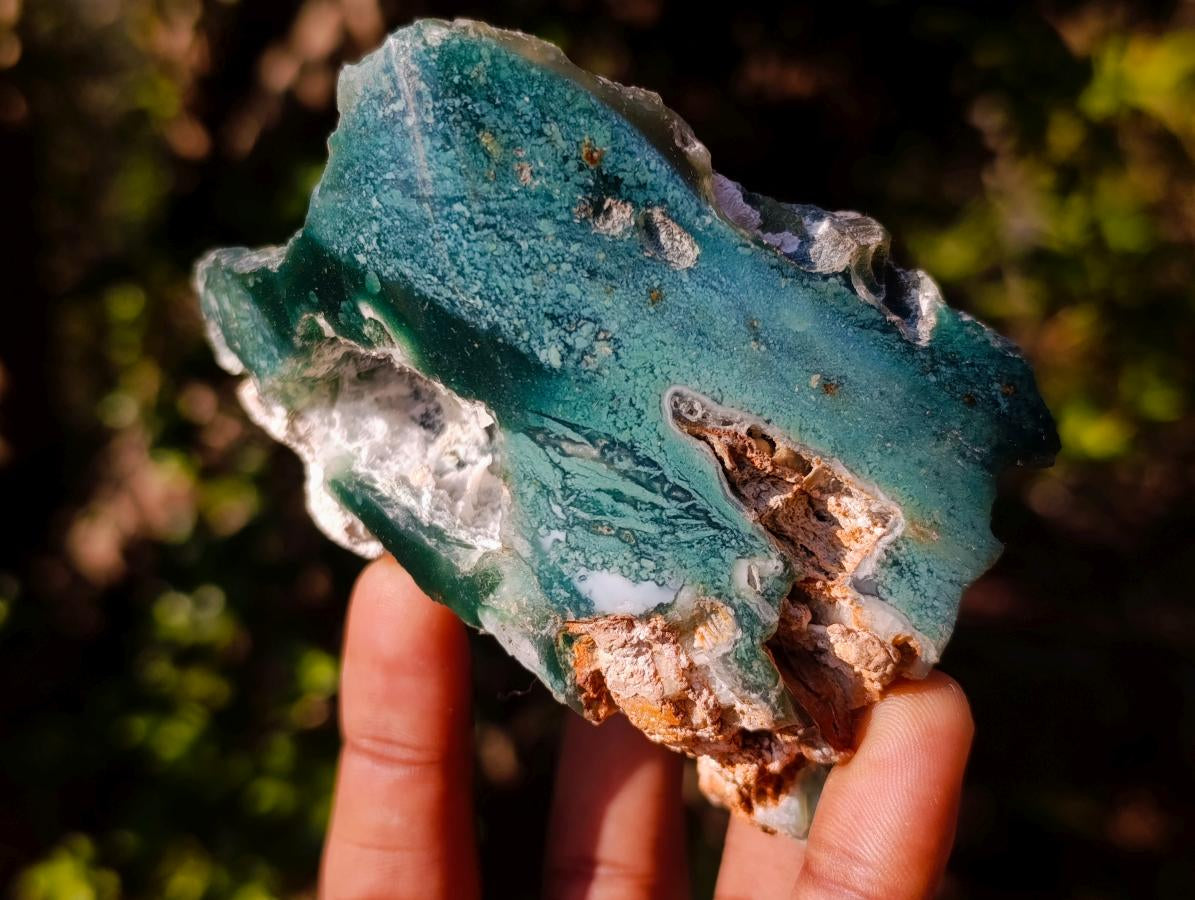 Polished One Side Mtorolite Chrysoprase Slices x 6 From Mutorashanga, Zimbabwe