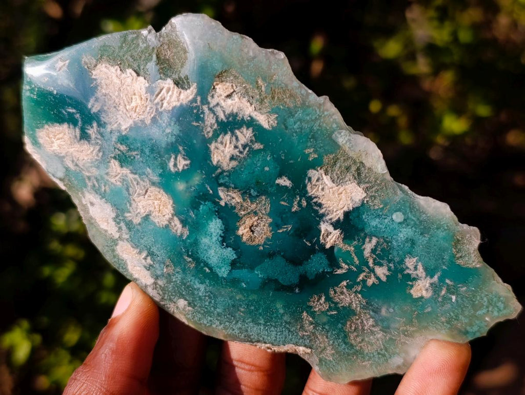 Polished One Side Mtorolite Chrysoprase Slices x 6 From Mutorashanga, Zimbabwe