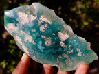 Polished One Side Mtorolite Chrysoprase Slices x 6 From Mutorashanga, Zimbabwe