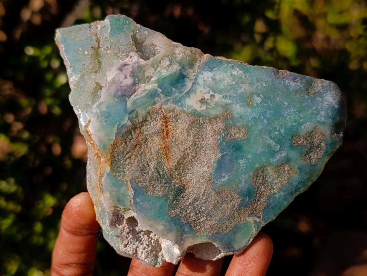 Polished One Side Mtorolite Chrysoprase Slices x 6 From Mutorashanga, Zimbabwe