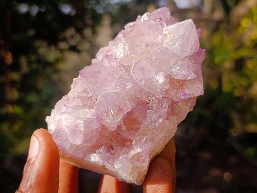 Natural Spirit Amethyst Clusters x 6 From Boekenhouthoek, South Africa