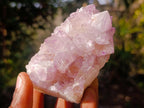 Natural Spirit Amethyst Clusters x 6 From Boekenhouthoek, South Africa