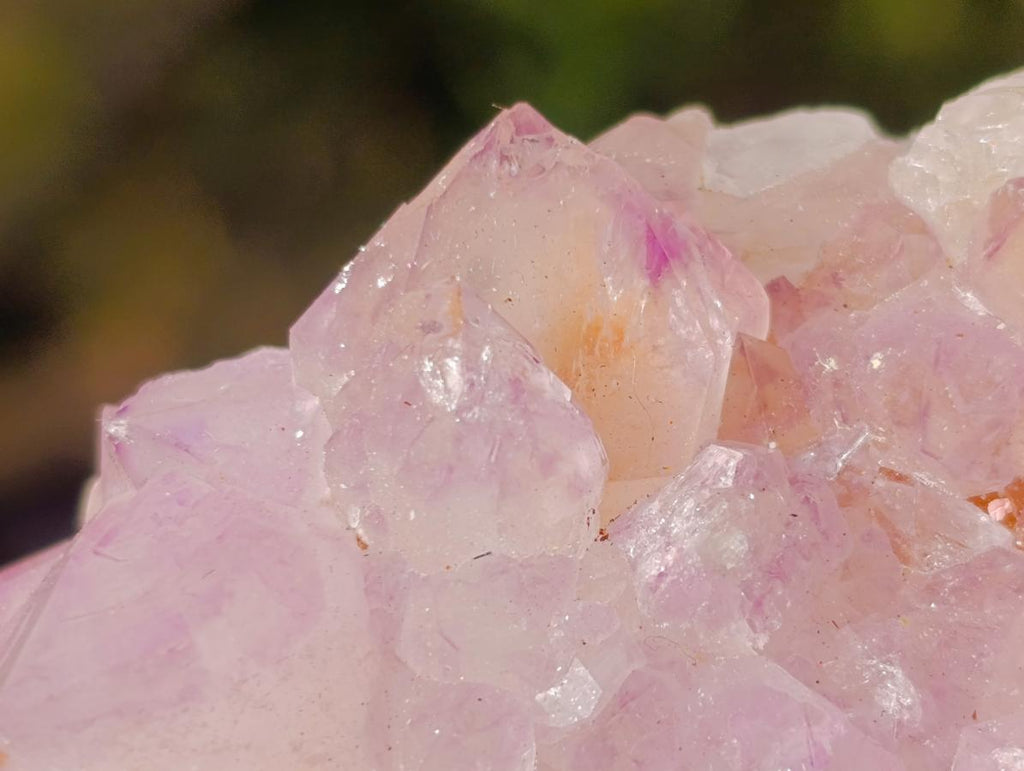 Natural Spirit Amethyst Clusters x 6 From Boekenhouthoek, South Africa