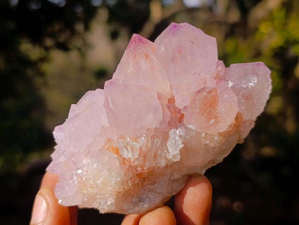 Natural Spirit Amethyst Clusters x 6 From Boekenhouthoek, South Africa