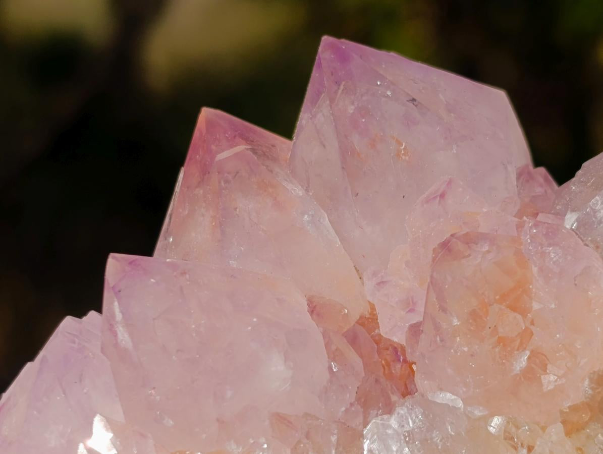 Natural Spirit Amethyst Clusters x 6 From Boekenhouthoek, South Africa