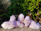 Natural Spirit Amethyst Clusters x 6 From Boekenhouthoek, South Africa