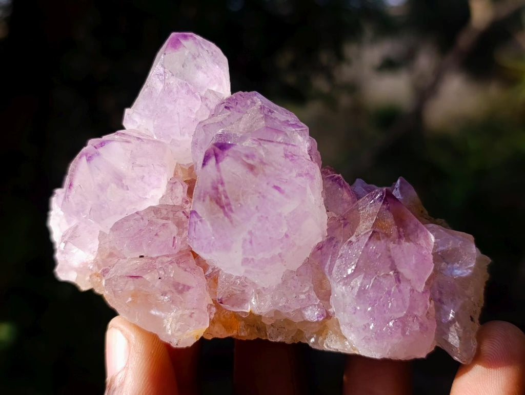 Natural Spirit Amethyst Clusters x 6 From Boekenhouthoek, South Africa