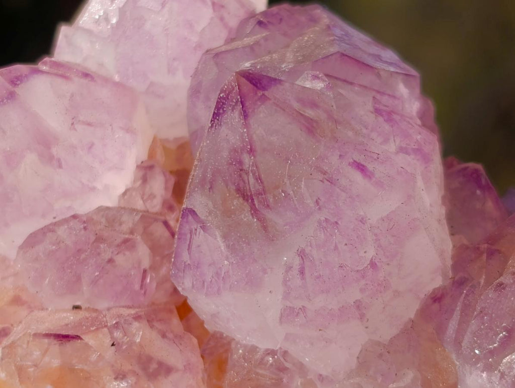 Natural Spirit Amethyst Clusters x 6 From Boekenhouthoek, South Africa