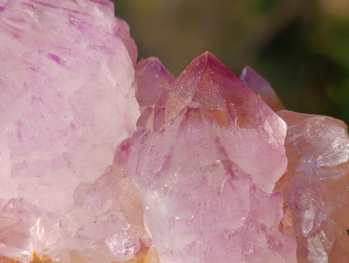 Natural Spirit Amethyst Clusters x 6 From Boekenhouthoek, South Africa