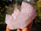 Natural Spirit Amethyst Clusters x 6 From Boekenhouthoek, South Africa