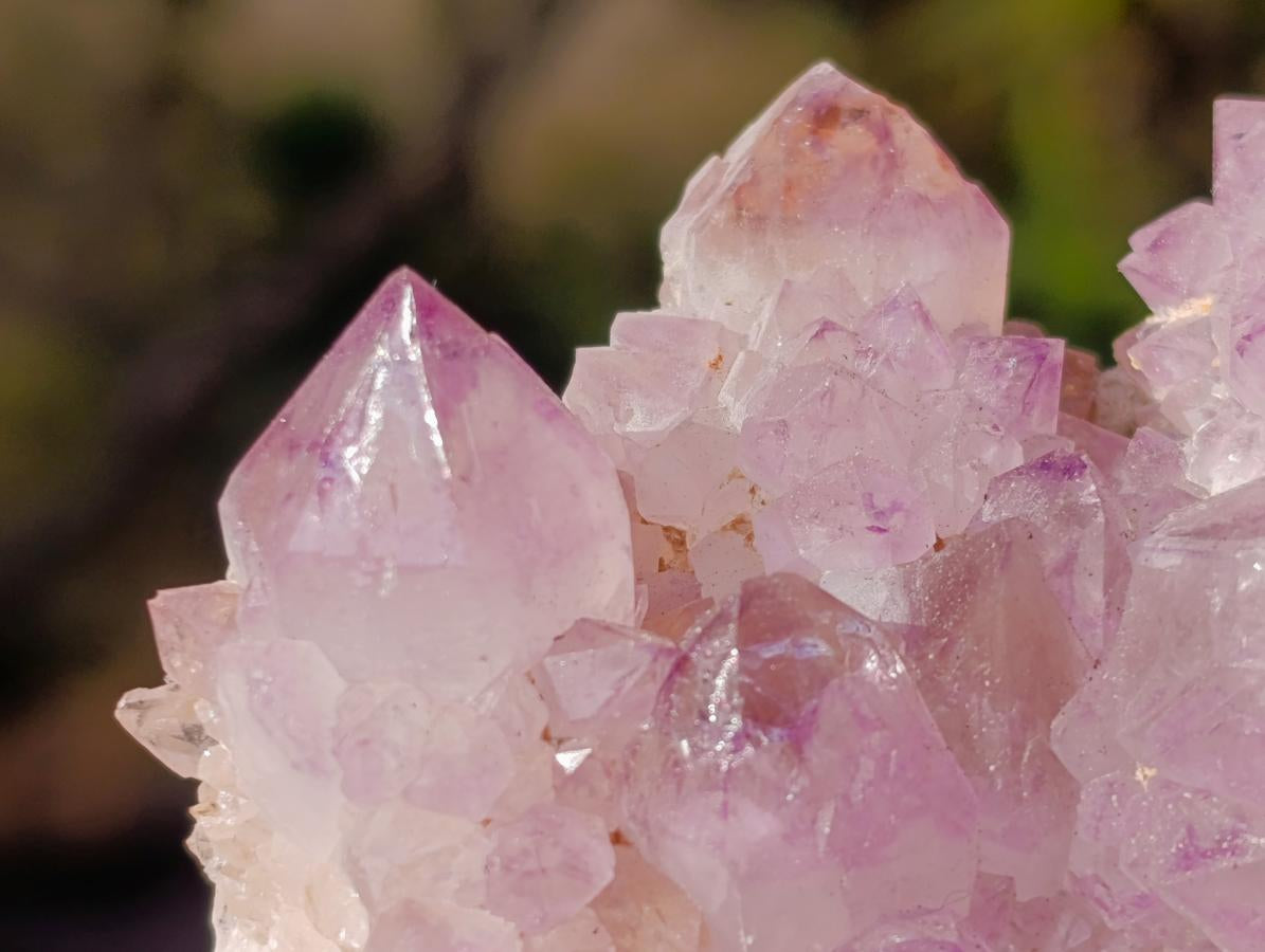 Natural Spirit Amethyst Clusters x 6 From Boekenhouthoek, South Africa