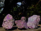 Natural Cobbed Stichtite Specimens x 12 From Barberton, South Africa