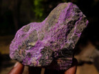 Natural Cobbed Stichtite Specimens x 12 From Barberton, South Africa