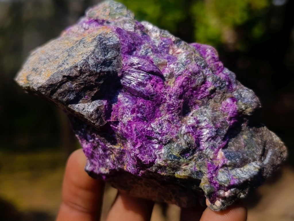 Natural Cobbed Stichtite Specimens x 12 From Barberton, South Africa