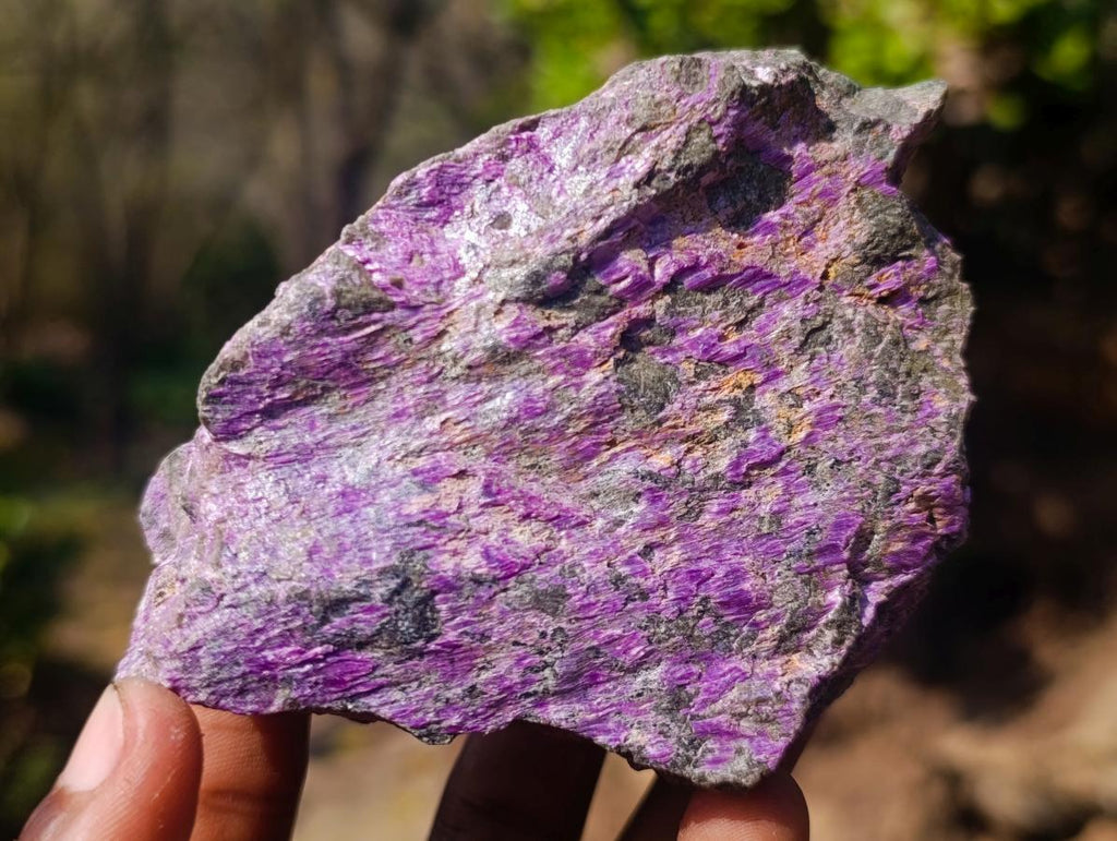 Natural Cobbed Stichtite Specimens x 12 From Barberton, South Africa