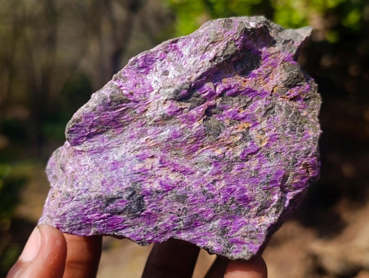 Natural Cobbed Stichtite Specimens x 12 From Barberton, South Africa