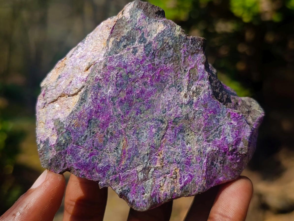 Natural Cobbed Stichtite Specimens x 12 From Barberton, South Africa